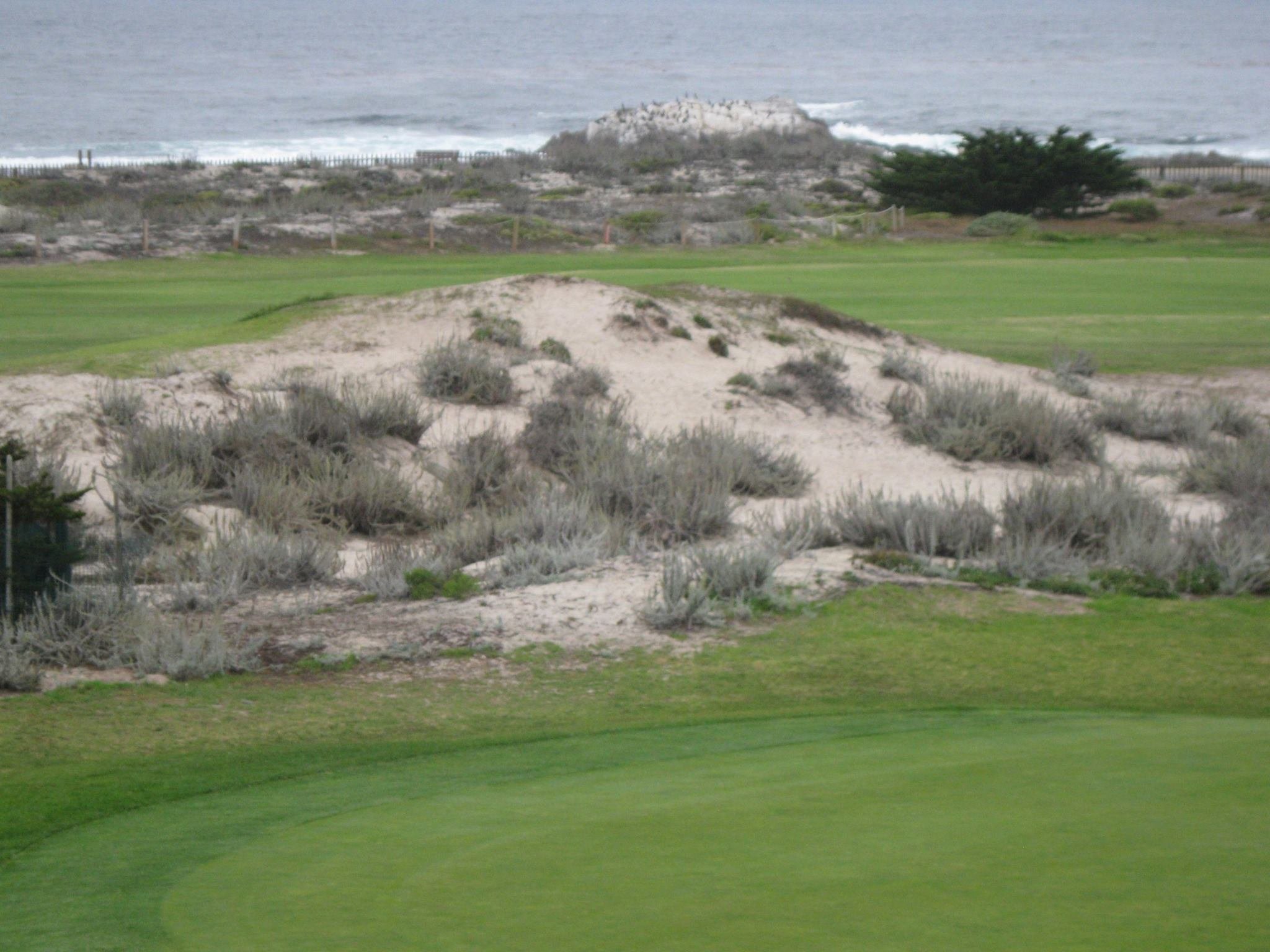 The Pacific Ocean is part of the view from one of the holes at Pacific Grove Golf Course. Photo: Steve Newvine