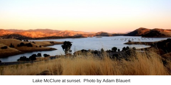 lake mcclure