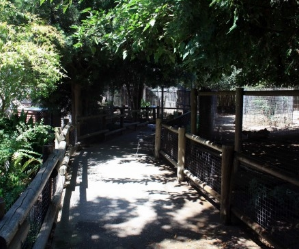  zoo 1 