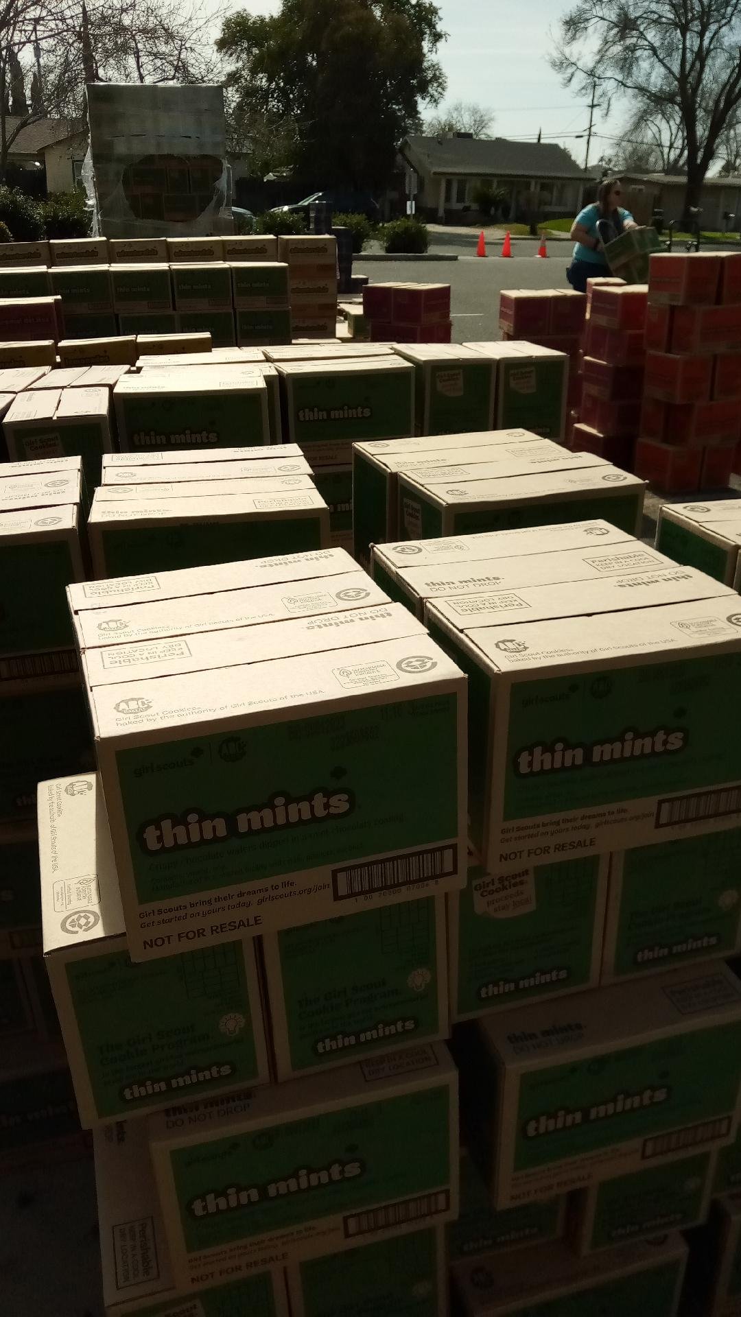 Girl Scout cookies are an icon of the organization. The annual sales activity raises money for individual troops, and provides soft-skill training such as dealing with people and business ethics. Photo: Steve Newvine