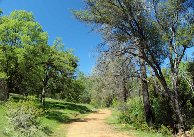 Stockton Creek - PHOTO BY ADAM BLAUERT