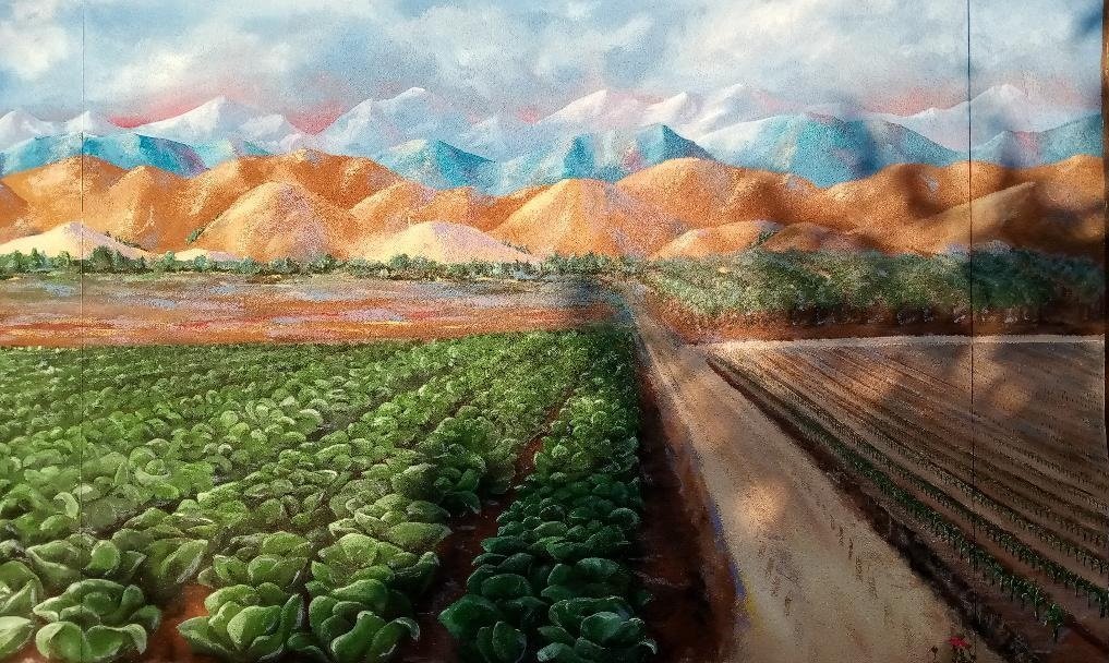 Merced County’s farm products were valued at $3.7 billion according to the 2021 Agriculture Commissioner’s Annual Report released at the end of 2022. Photo: Steve Newvine