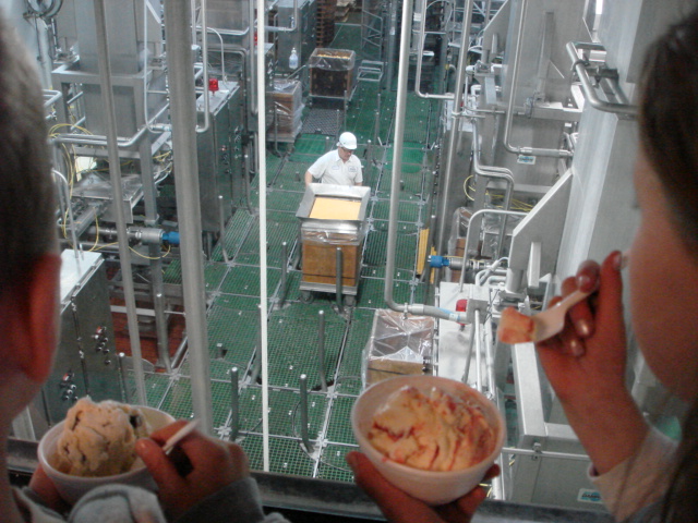 Additional view 4 of Hilmar Cheese Company - Tour - Taste - Shop and Eat