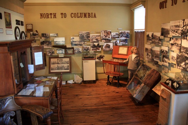 Museum Exhibits