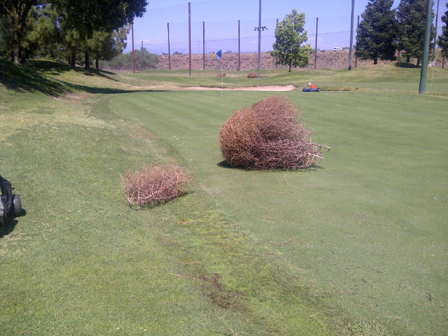 Golf Hazards