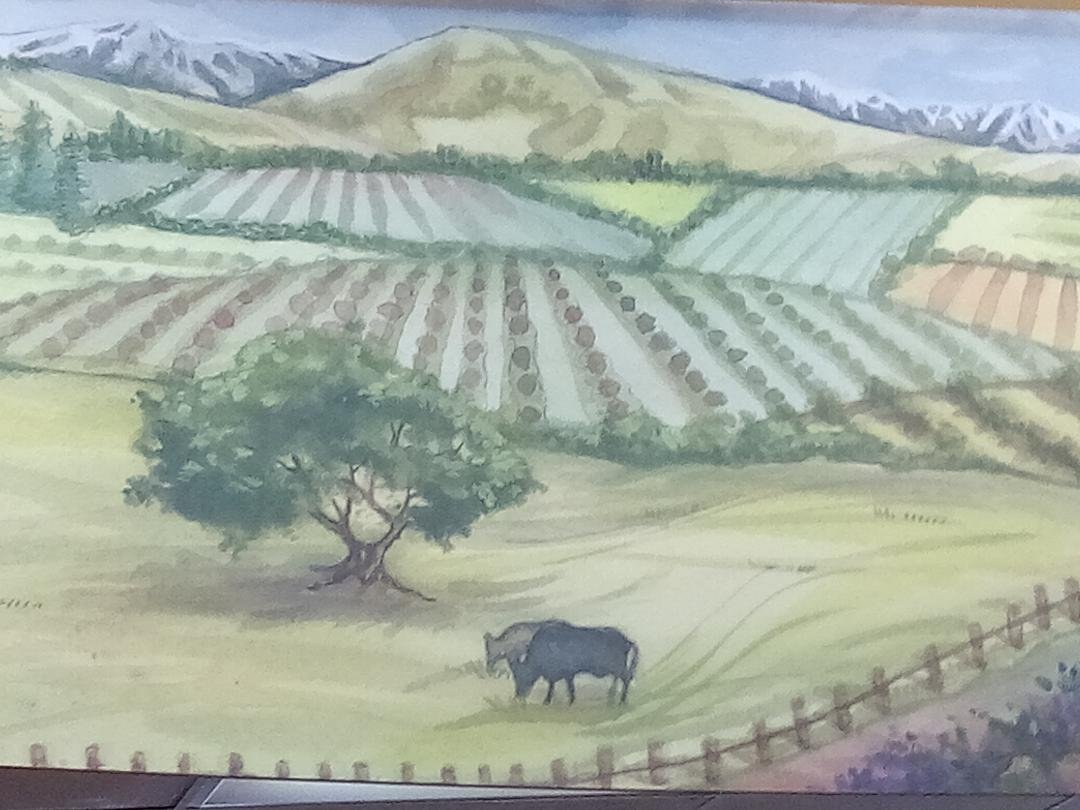 Merced County’s farm products dominate this mural above the checkouts at the Raley’s store in Merced.