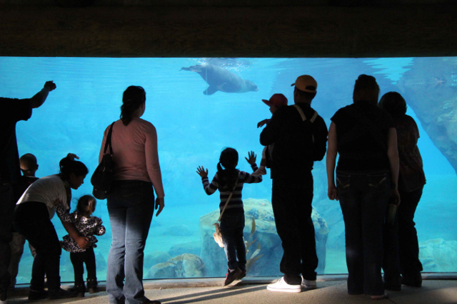 Fresno Chaffee Zoo