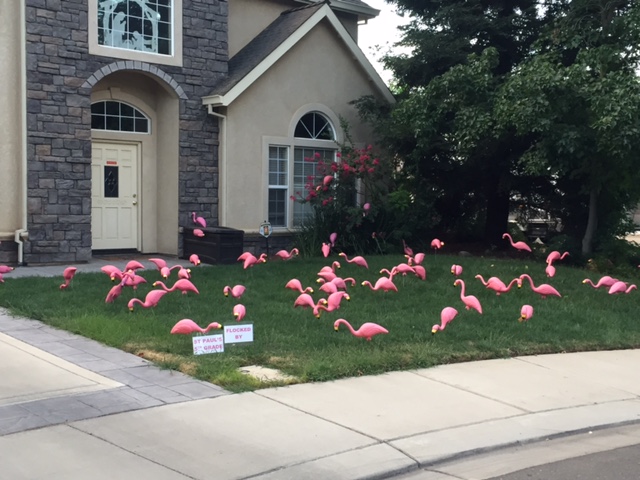 A small sign in the front left of this lawn tells the family living there and others that this decorating was done to raise money for the St. Paul Lutheran Fifth Grade. Photo by Steve Newvine