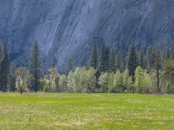 Camping in Yosemite: How to get a campsite