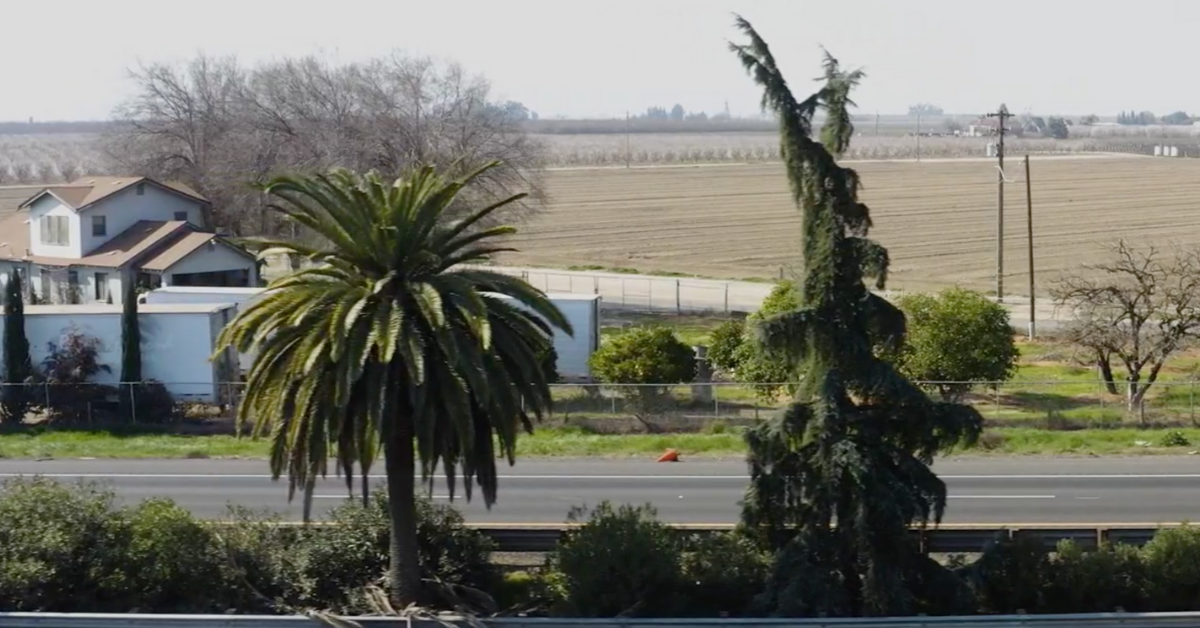 The view of the palm and the pine on Highway 99 south of Madera as seen through the drone video camera of KCRA-TV in Sacramento. Photo from KCRA video story
