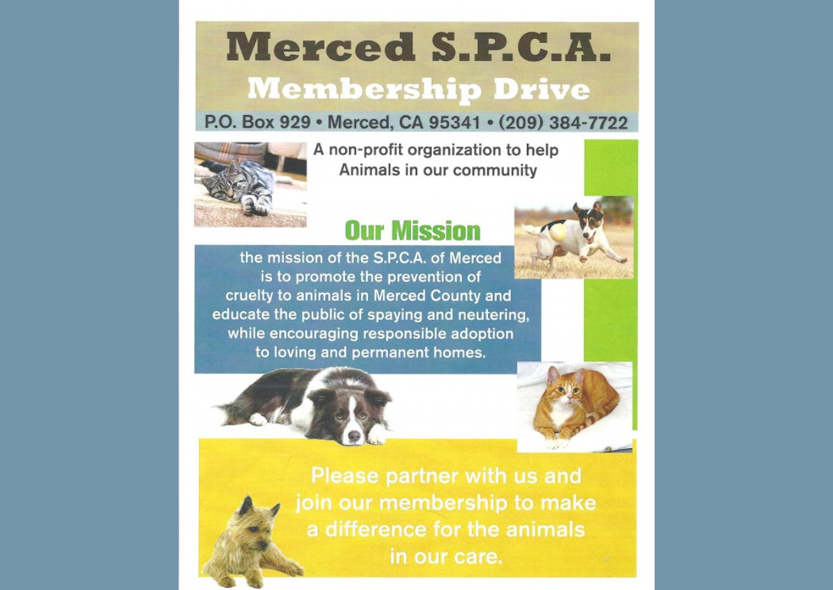 Merced Society for the Prevention of Cruelty to Animals (SPCA)