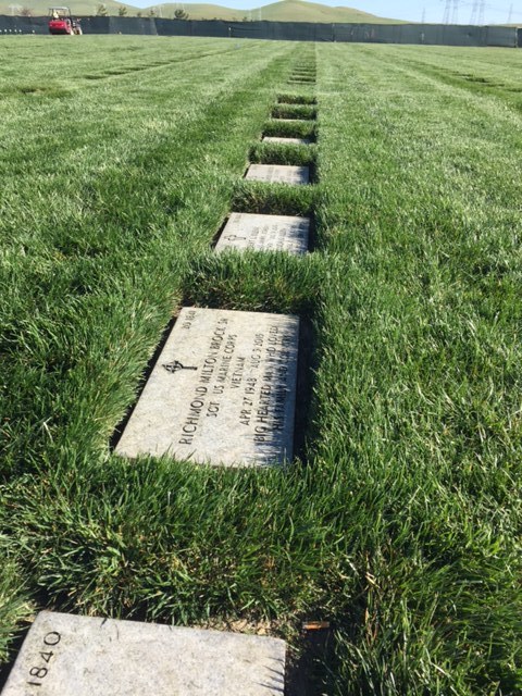 San Joaquin Valley National Cemetery, Santa Nella, CA.  Photo by Steve Newvine