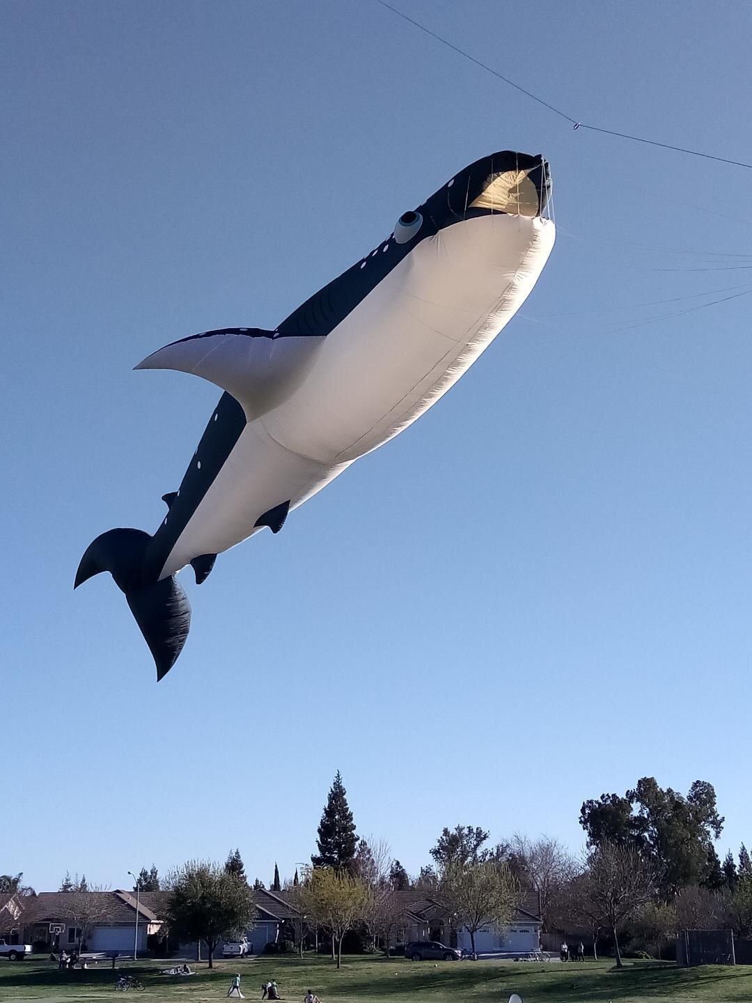 A shark kite lurks over the playground at Davenport Park as the Macias brothers entertain families in Merced. Photo: Steve Newvine