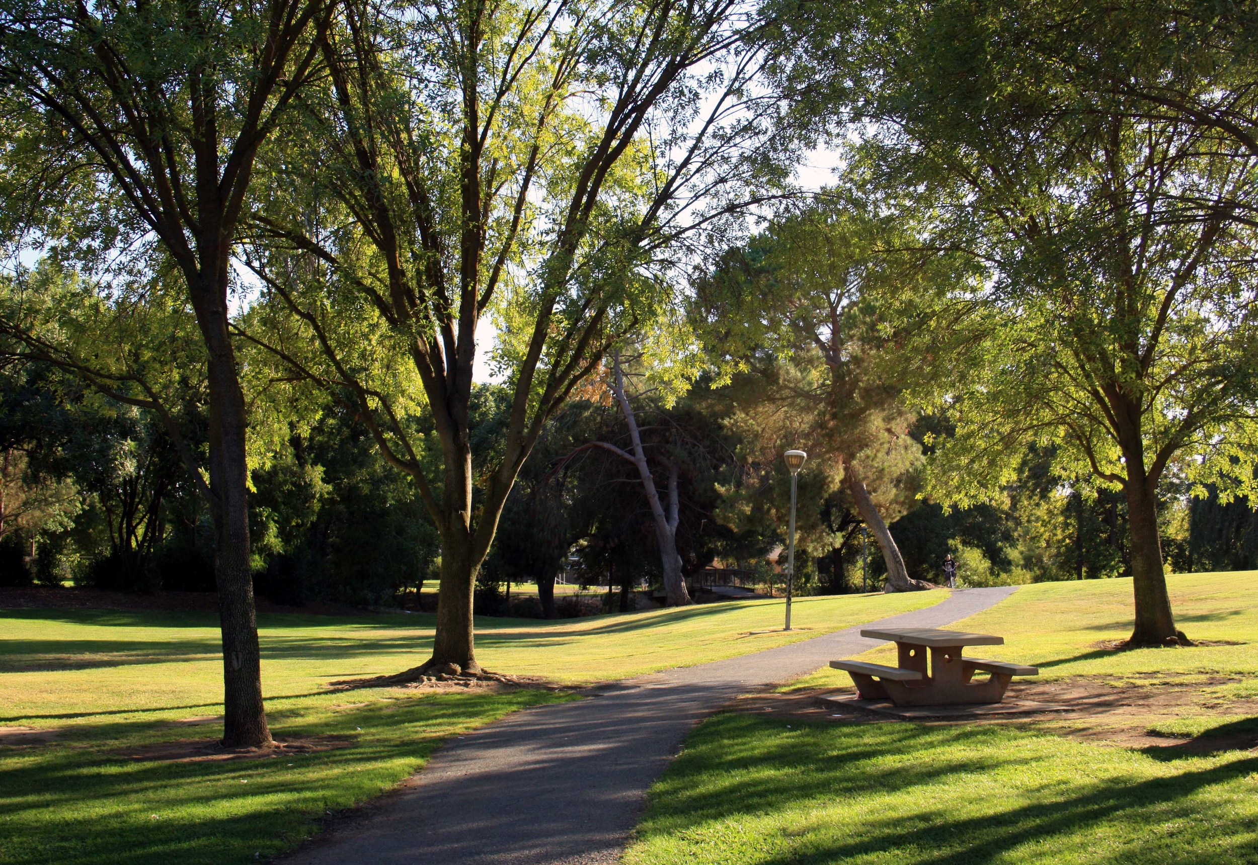  Rahilly Park 3 