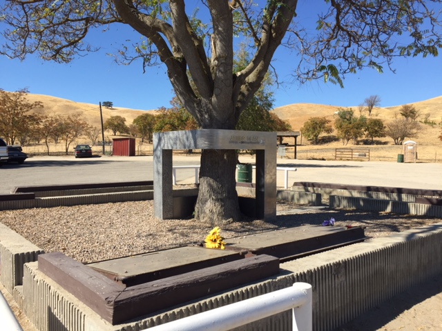 Fans still bring flowers or drop coins at the James Dean Memorial. Photo by Steve Newvine