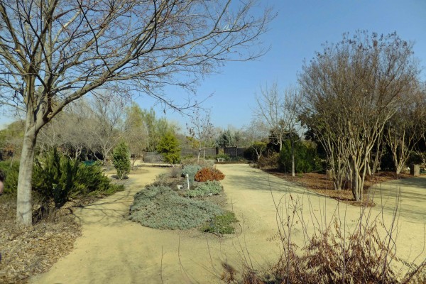 Clovis Botanical - PHOTO BY ADAM BLAUERT