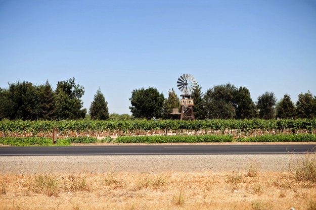 VISTA FARMS