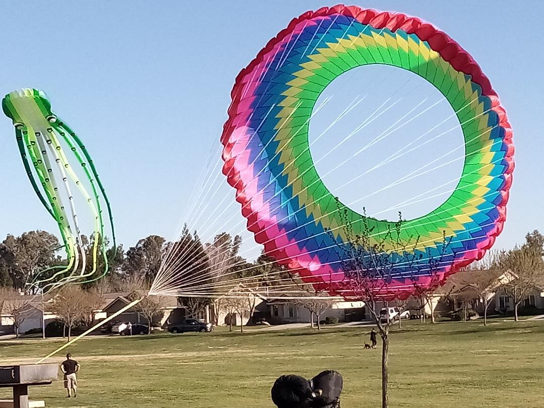 These larger than life kites entertain a north Merced neighborhood on a windy Saturday in March. Photo-Steve Newvine