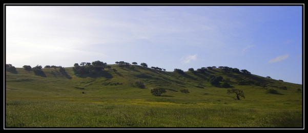 Photo by akshay