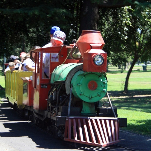  train 