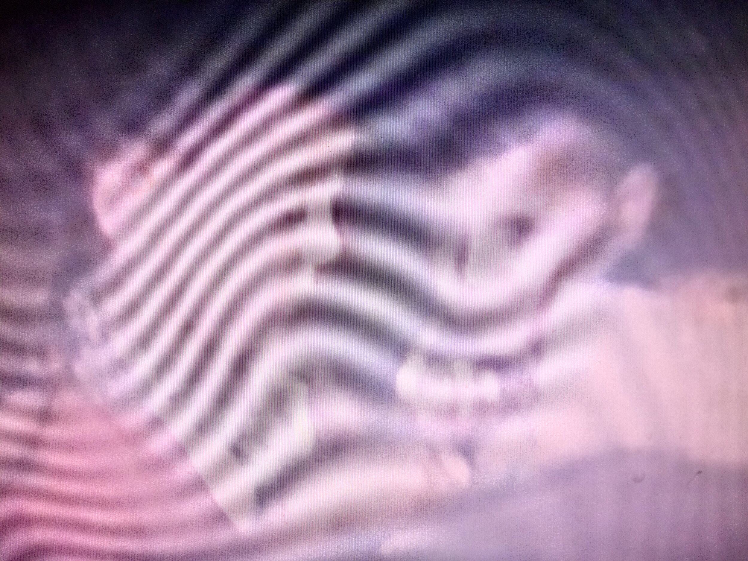 My brother and I from an early birthday party on home movie film my grandmother shot. Newvine Personal Collection.