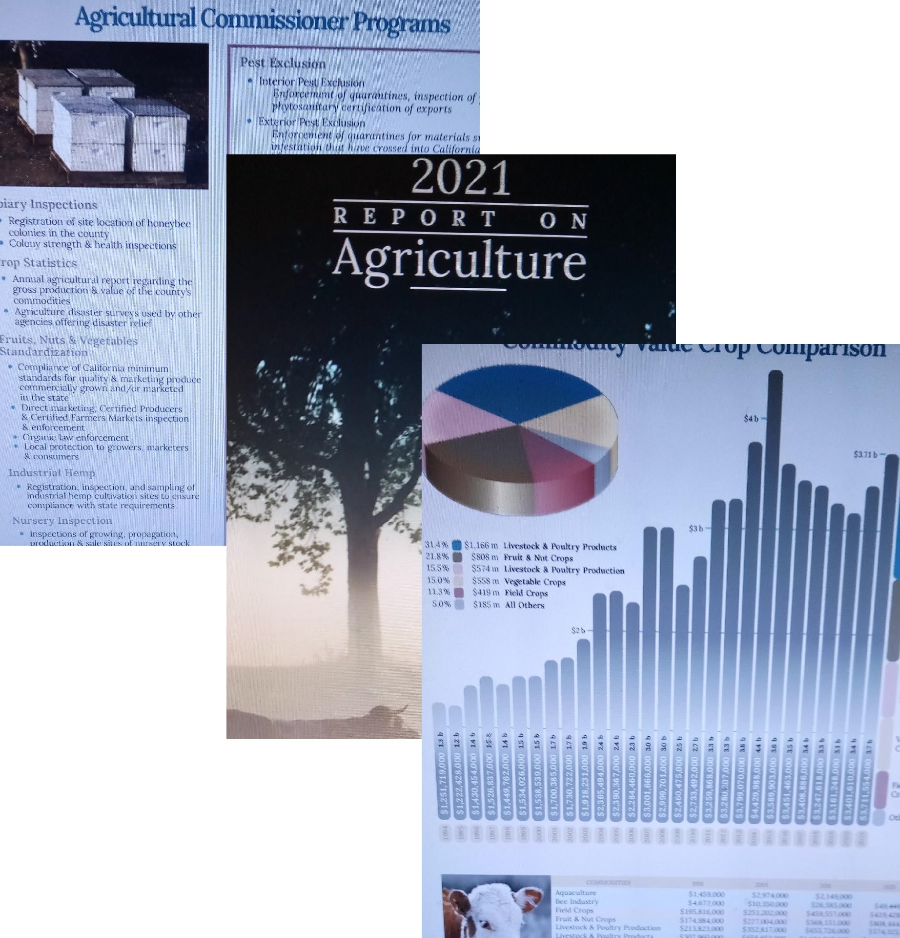 Pages from the 2021 Ag Report for Merced County. Photo montage: Steve Newvine