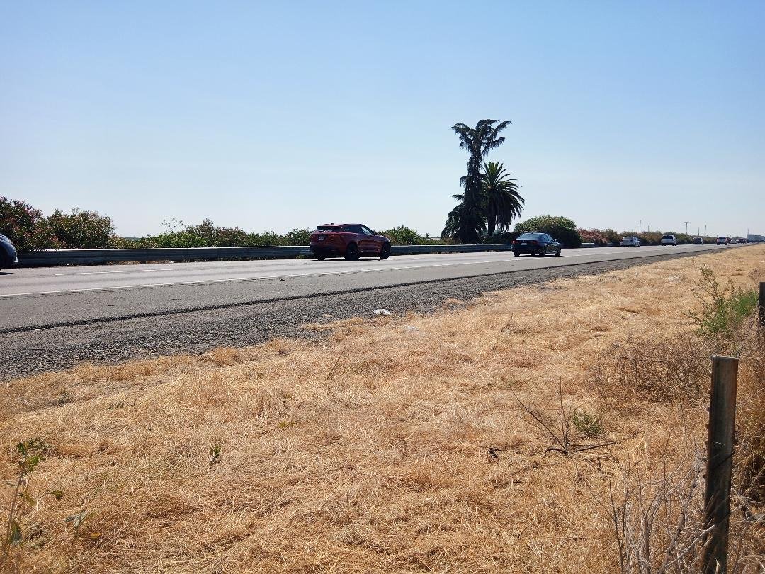 Highway 99 near the Avenue 12 exit south of Madera and the iconic palm and pine trees. Those trees will be removed later this year as part of a major overhaul of that section of the road. Photo: Steve Newvine