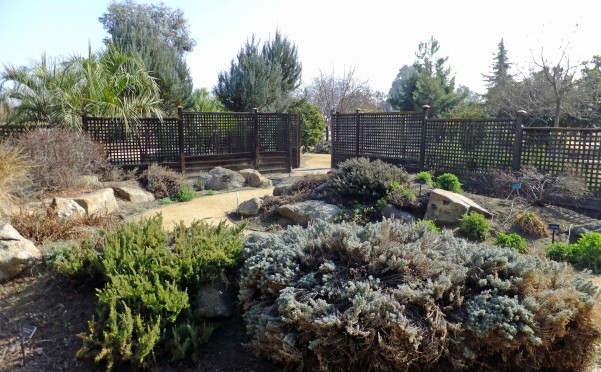 Clovis Botanical - PHOTO BY ADAM BLAUERT