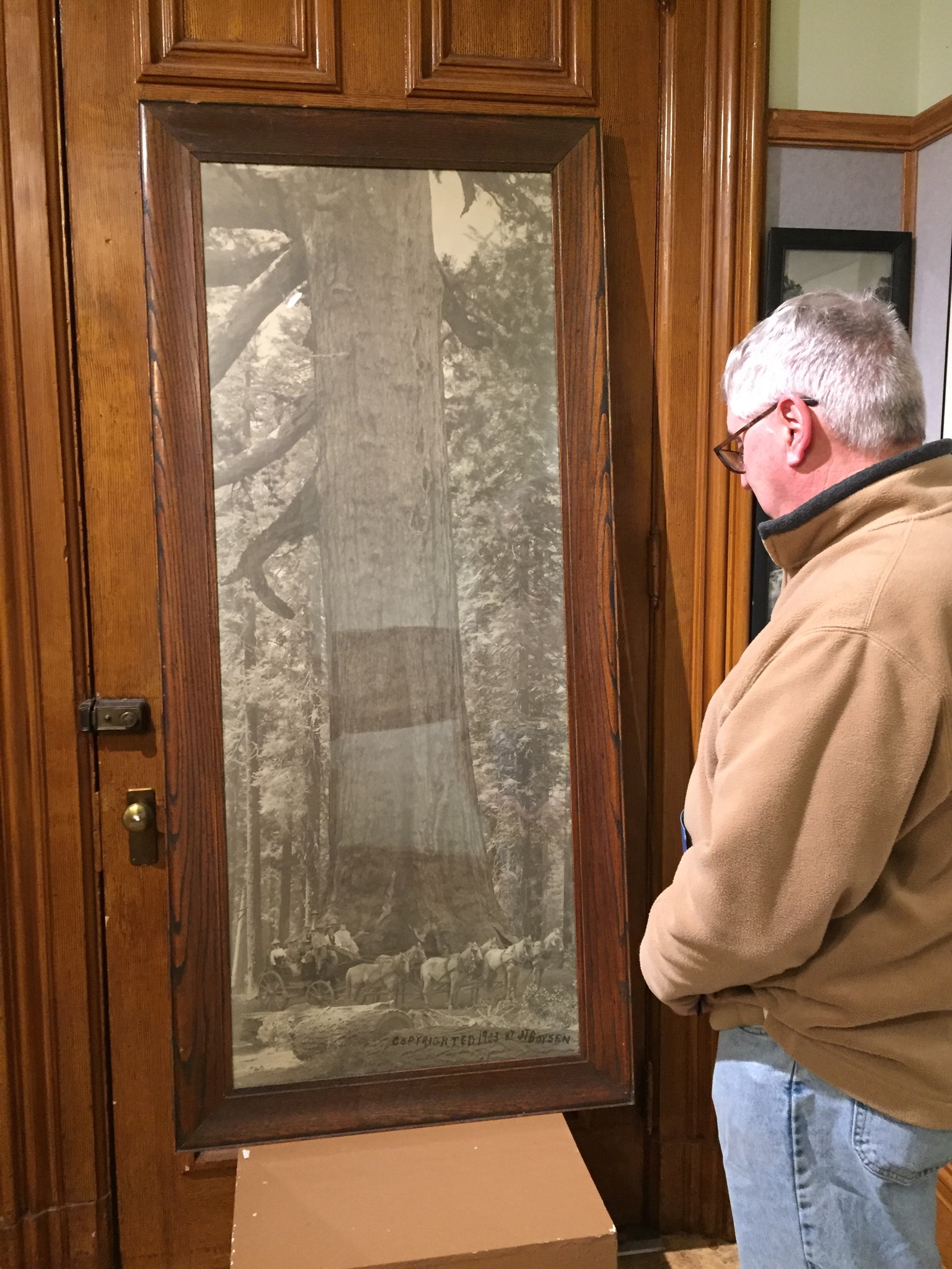Steve Newvine views a large framed photograph from Yosemite at the Courthouse Museum Exhibit The Originals of Yosemite. Photo: Donna Lee Hartman.