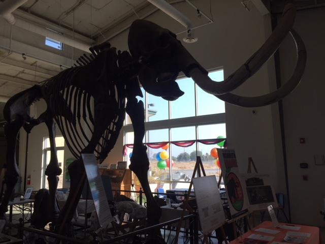 The Fossil Discovery Center of Madera County. Photo by Steve Newvine
