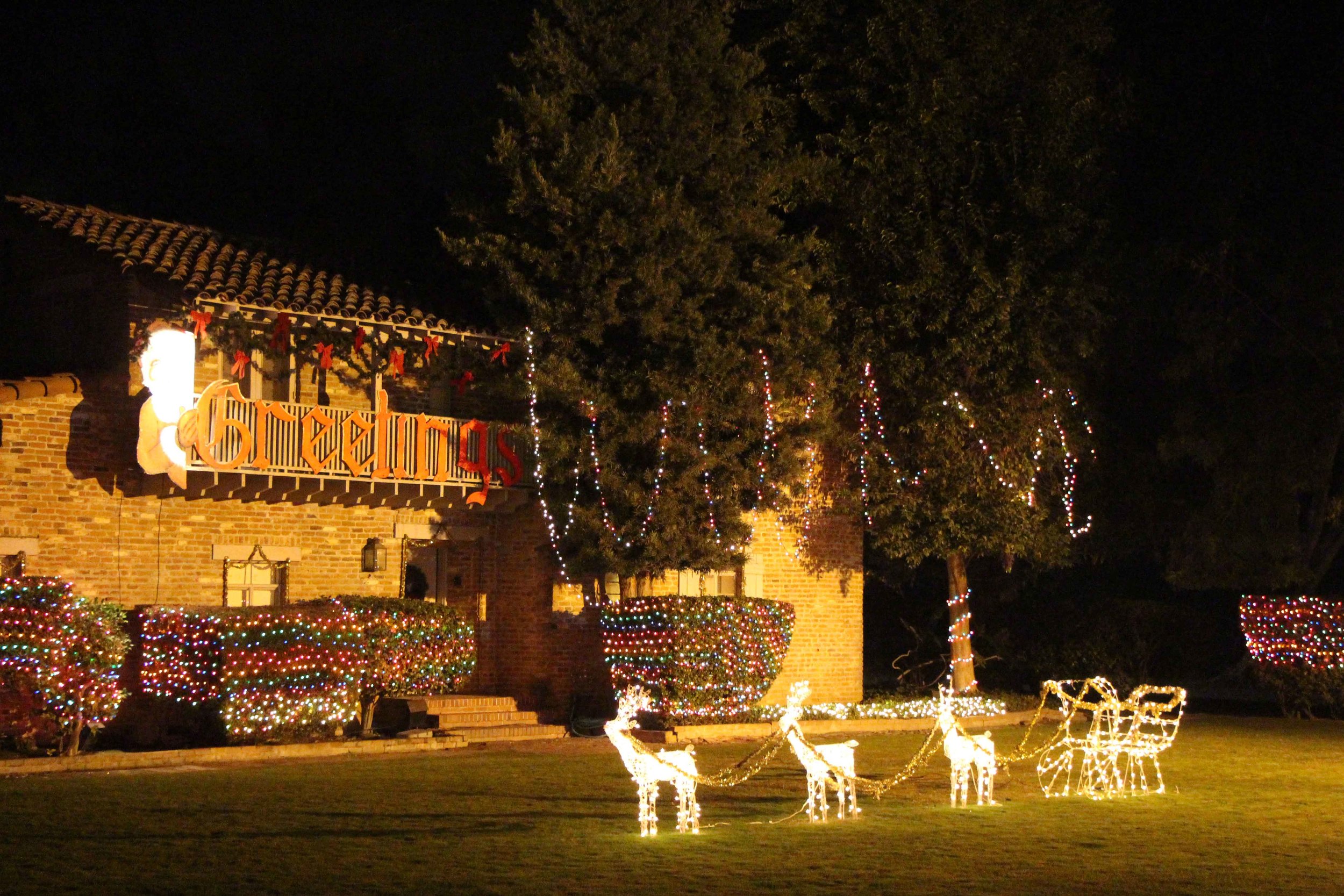Fresno’s Christmas Tree Lane